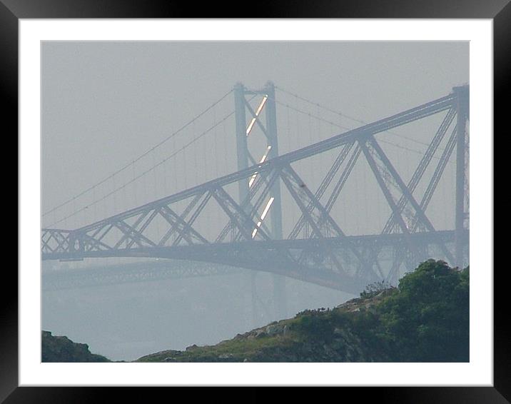Bridges in the mist Framed Mounted Print by Fiona McCubbin