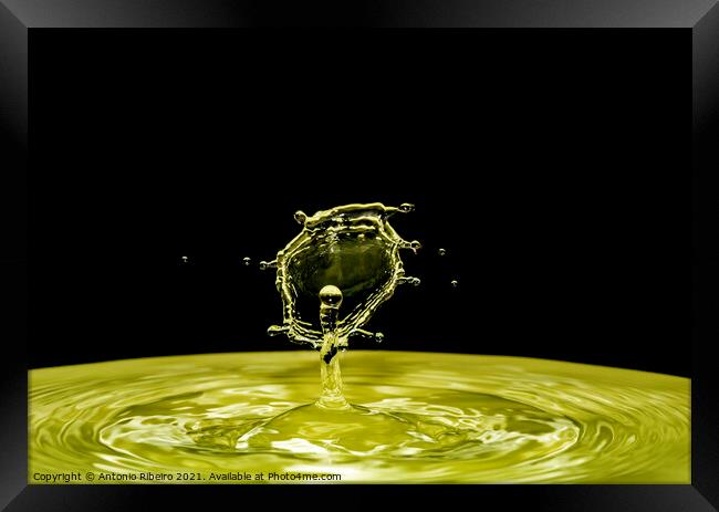 Water Drop Collision on Black Background Framed Print by Antonio Ribeiro