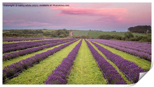 Serene Sunrise Over Lavender Fields Print by kathy white