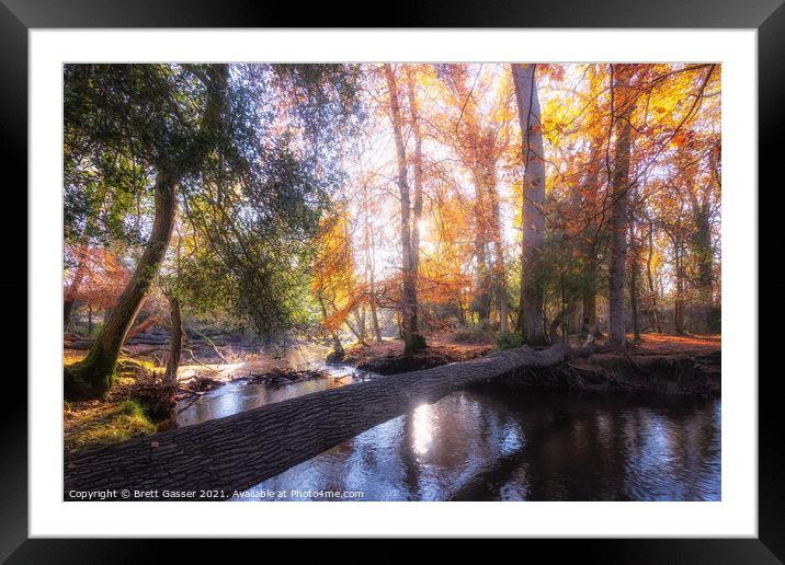 New Forest Autumn Framed Mounted Print by Brett Gasser
