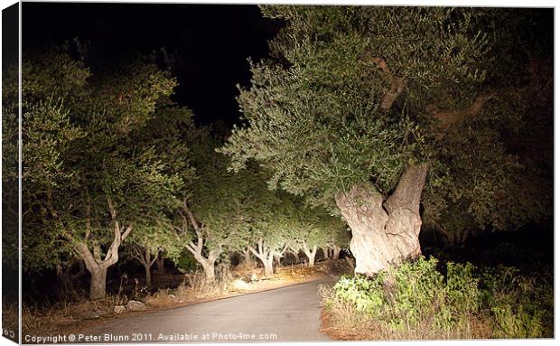 Scary Olive Grove Night Drive #2 Canvas Print by Peter Blunn