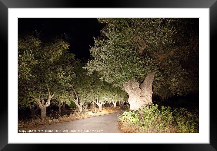 Scary Olive Grove Night Drive #2 Framed Mounted Print by Peter Blunn