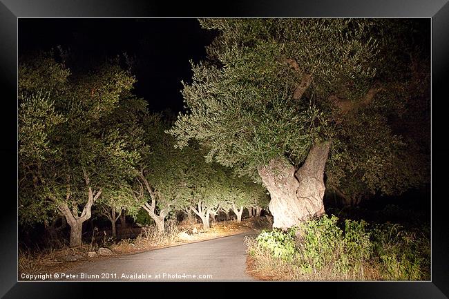 Scary Olive Grove Night Drive #2 Framed Print by Peter Blunn
