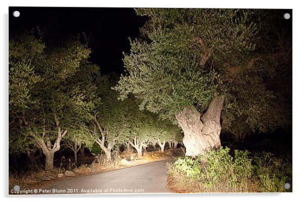 Scary Olive Grove Night Drive #2 Acrylic by Peter Blunn