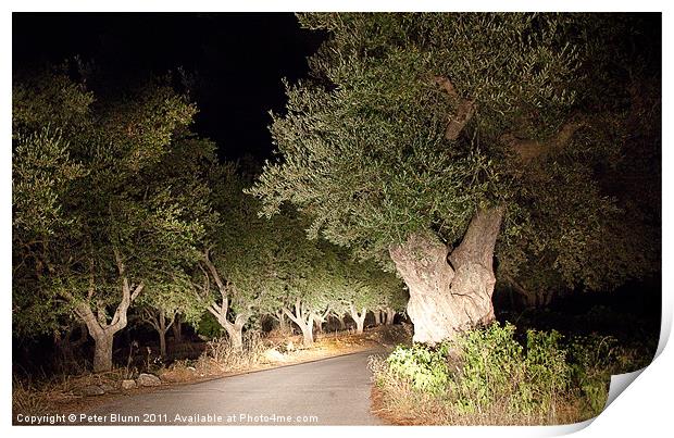Scary Olive Grove Night Drive #2 Print by Peter Blunn