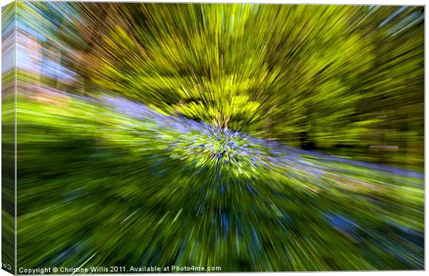 Quickly, Through the Bluebell Woods Canvas Print by Christine Johnson