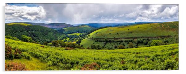 Horseshoe pass view Acrylic by Kevin Elias