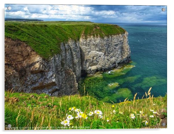 Flamborough Cliffs Acrylic by yvonne & paul carroll
