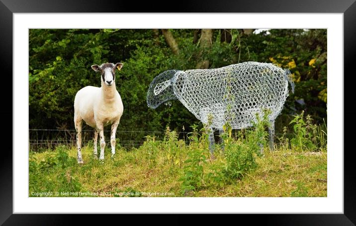 Ewe've Been Framed! Framed Mounted Print by Neil Mottershead