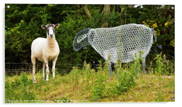 Ewe've Been Framed! Acrylic by Neil Mottershead