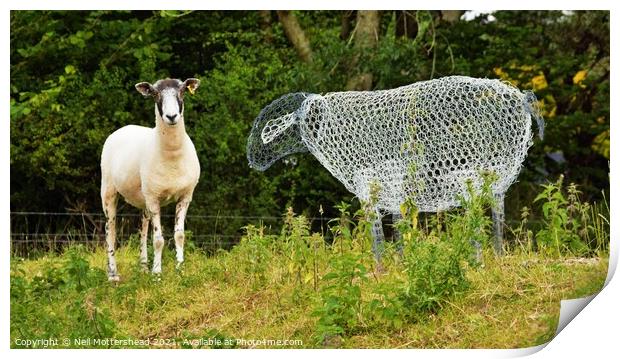 Ewe've Been Framed! Print by Neil Mottershead