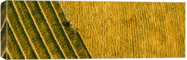 Aerial view of a agricultural machine during hay production.  Canvas Print by Andrea Obzerova