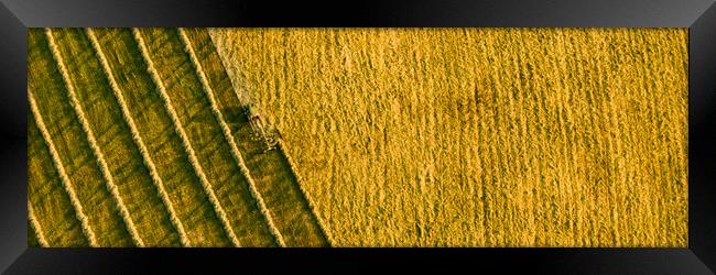 Aerial view of a agricultural machine during hay production.  Framed Print by Andrea Obzerova