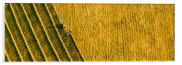 Aerial view of a agricultural machine during hay production.  Acrylic by Andrea Obzerova
