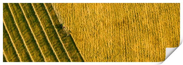 Aerial view of a agricultural machine during hay production.  Print by Andrea Obzerova