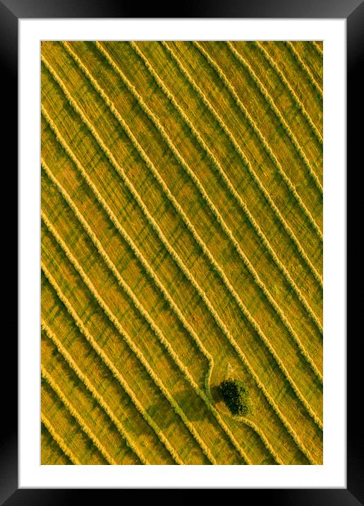 Beauty and patterns of a cultivated farmland in Slovakia from above. Framed Mounted Print by Andrea Obzerova