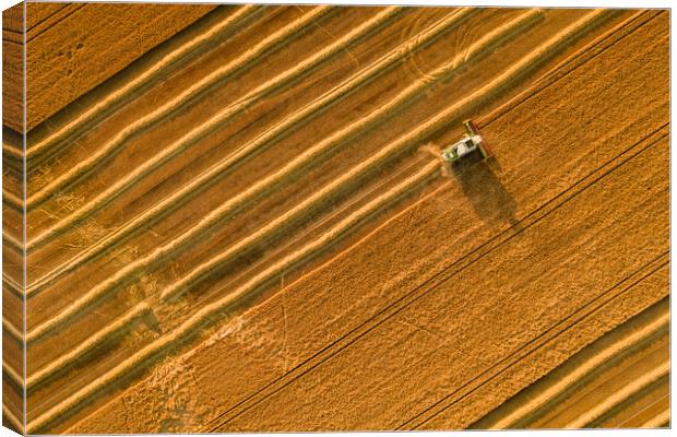 Wheat crop harvest. Aerial view of combine harvester at work. Canvas Print by Andrea Obzerova