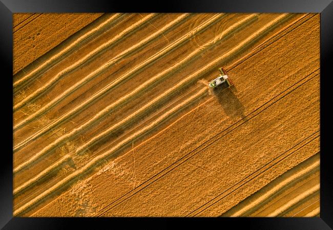 Wheat crop harvest. Aerial view of combine harvester at work. Framed Print by Andrea Obzerova