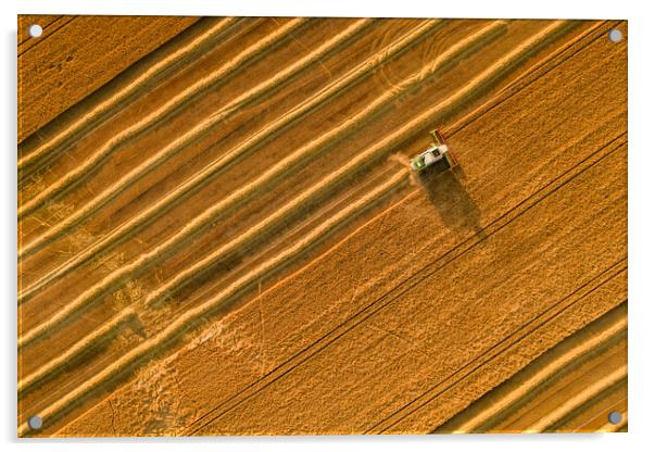 Wheat crop harvest. Aerial view of combine harvester at work. Acrylic by Andrea Obzerova