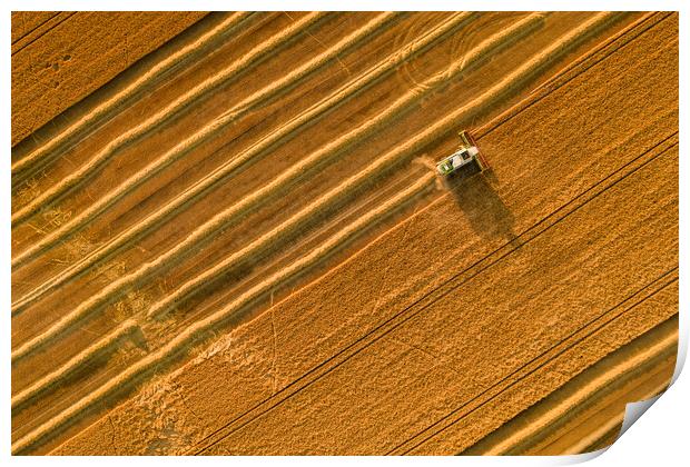 Wheat crop harvest. Aerial view of combine harvester at work. Print by Andrea Obzerova