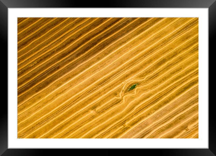 Aerial view of a freshly harvested wheat field.  Framed Mounted Print by Andrea Obzerova