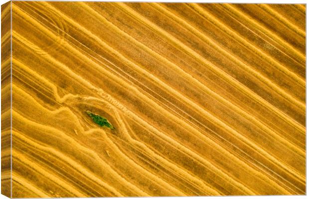 Beauty and patterns of a cultivated farmland from above. Canvas Print by Andrea Obzerova