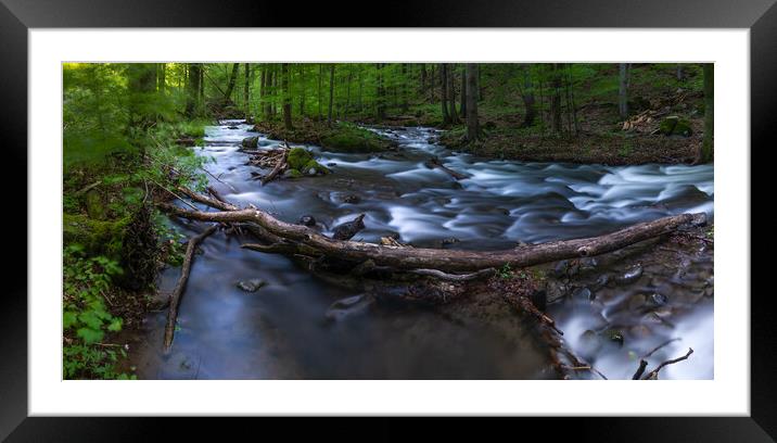 A waterfall in a forest. Framed Mounted Print by Andrea Obzerova