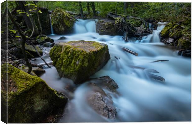 Long exposure image of a wild forest river. Canvas Print by Andrea Obzerova