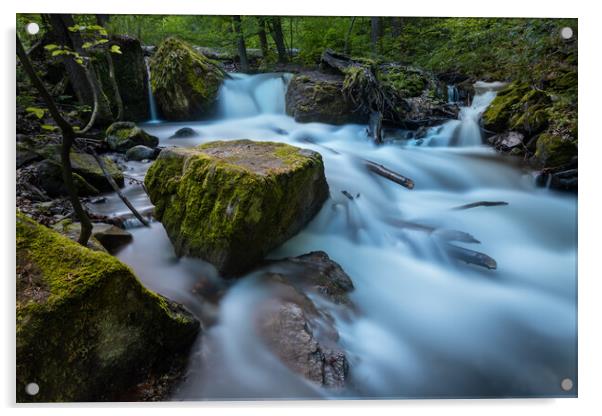 Long exposure image of a wild forest river. Acrylic by Andrea Obzerova