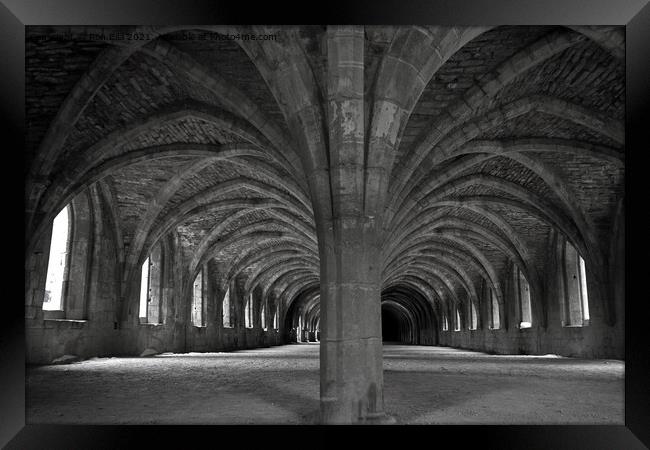 Fountains Abbey: A Timeless Treasure Framed Print by Ron Ella