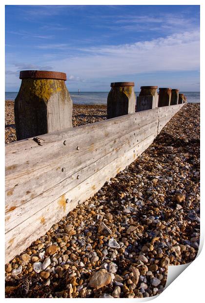 Wooden groyne on Eastbourne shingle beach Print by Photimageon UK