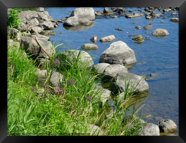 Rocks in the Rideau River Framed Print by Stephanie Moore