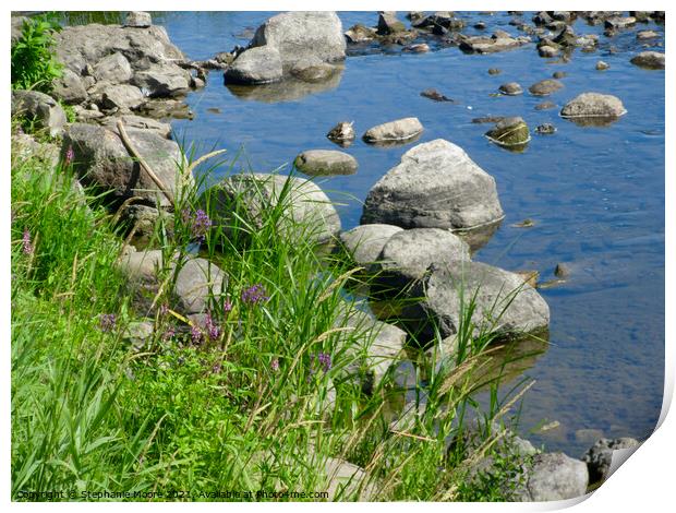 Rocks in the Rideau River Print by Stephanie Moore