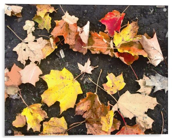 Colourful leaves Acrylic by Stephanie Moore