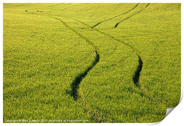 Farm Tracks Print by Mike Dawson
