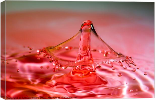 Water Drop Crown Collision Canvas Print by Antonio Ribeiro