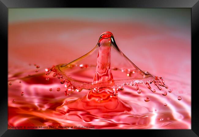 Water Drop Crown Collision Framed Print by Antonio Ribeiro