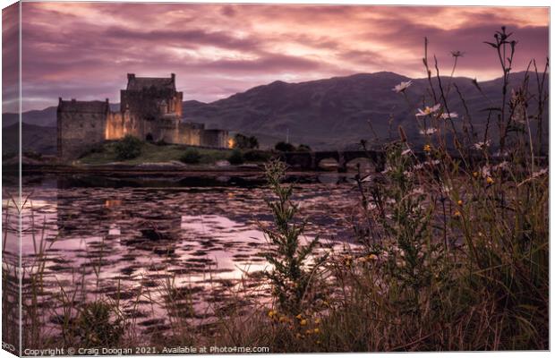 Wild Flower Eilean Donan Canvas Print by Craig Doogan