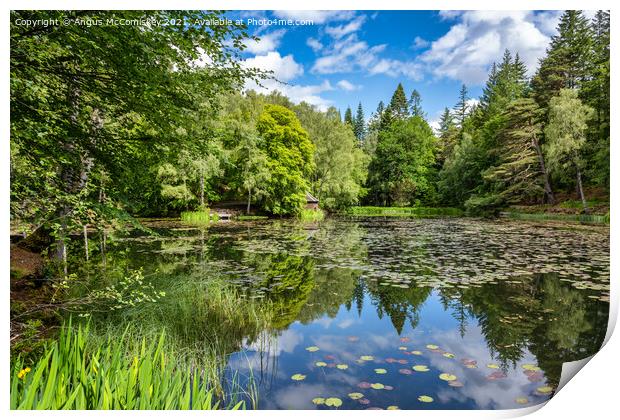 Water lilies on Loch Dunmore in Faskally Forest Print by Angus McComiskey