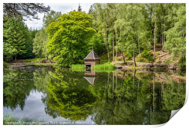 Boathouse on Loch Dunmore in Faskally Forest Print by Angus McComiskey