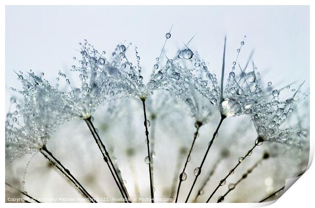 Pretty Water Droplets Print by Anthony Michael 