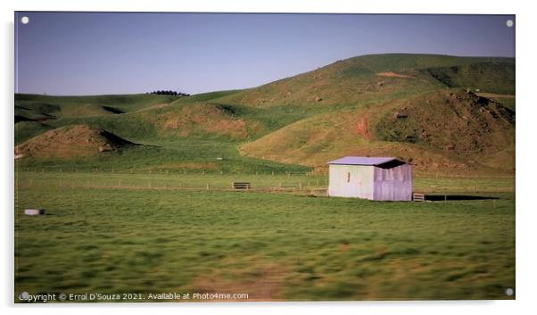 Farm shed in rural New Zealand Acrylic by Errol D'Souza