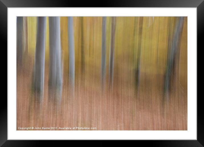 Tree abstract Framed Mounted Print by John Barrie