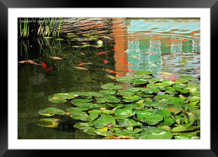 fish pond malaga spain  Framed Mounted Print by dale rys (LP)