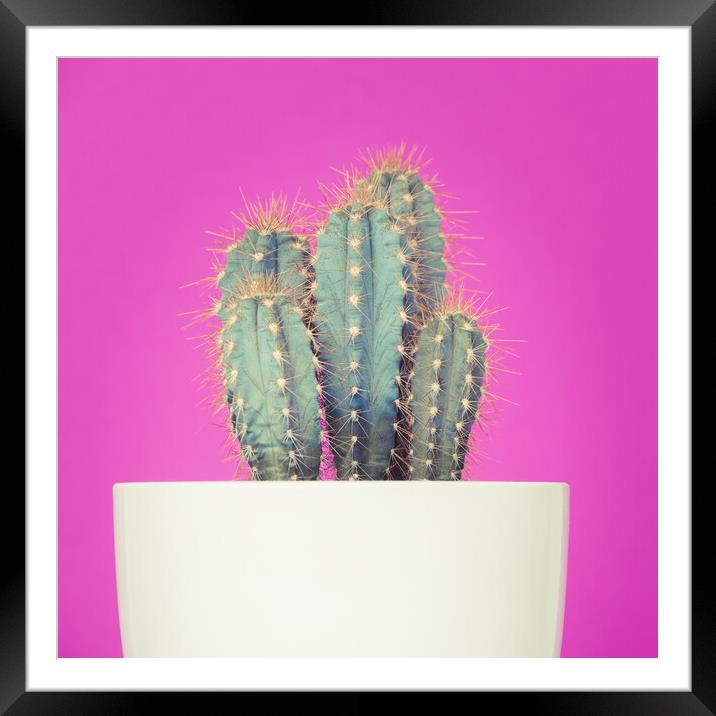 Neon art cactus image. Framed Mounted Print by Andrea Obzerova