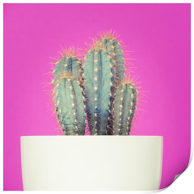 Neon art cactus image. Print by Andrea Obzerova