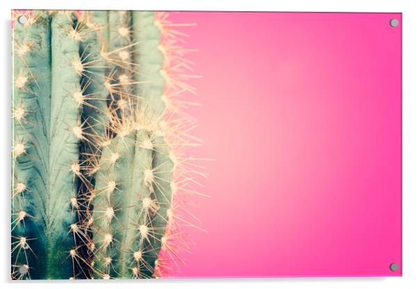 Pop art cactus image. Acrylic by Andrea Obzerova