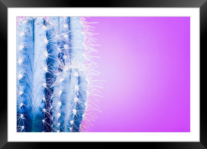 Pop art cactus image. Framed Mounted Print by Andrea Obzerova
