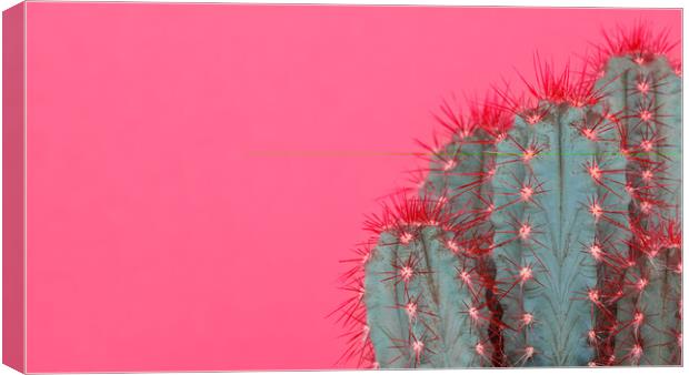 Fashion style cactus poster art. Canvas Print by Andrea Obzerova