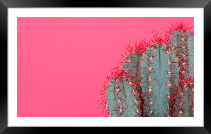 Fashion style cactus poster art. Framed Mounted Print by Andrea Obzerova